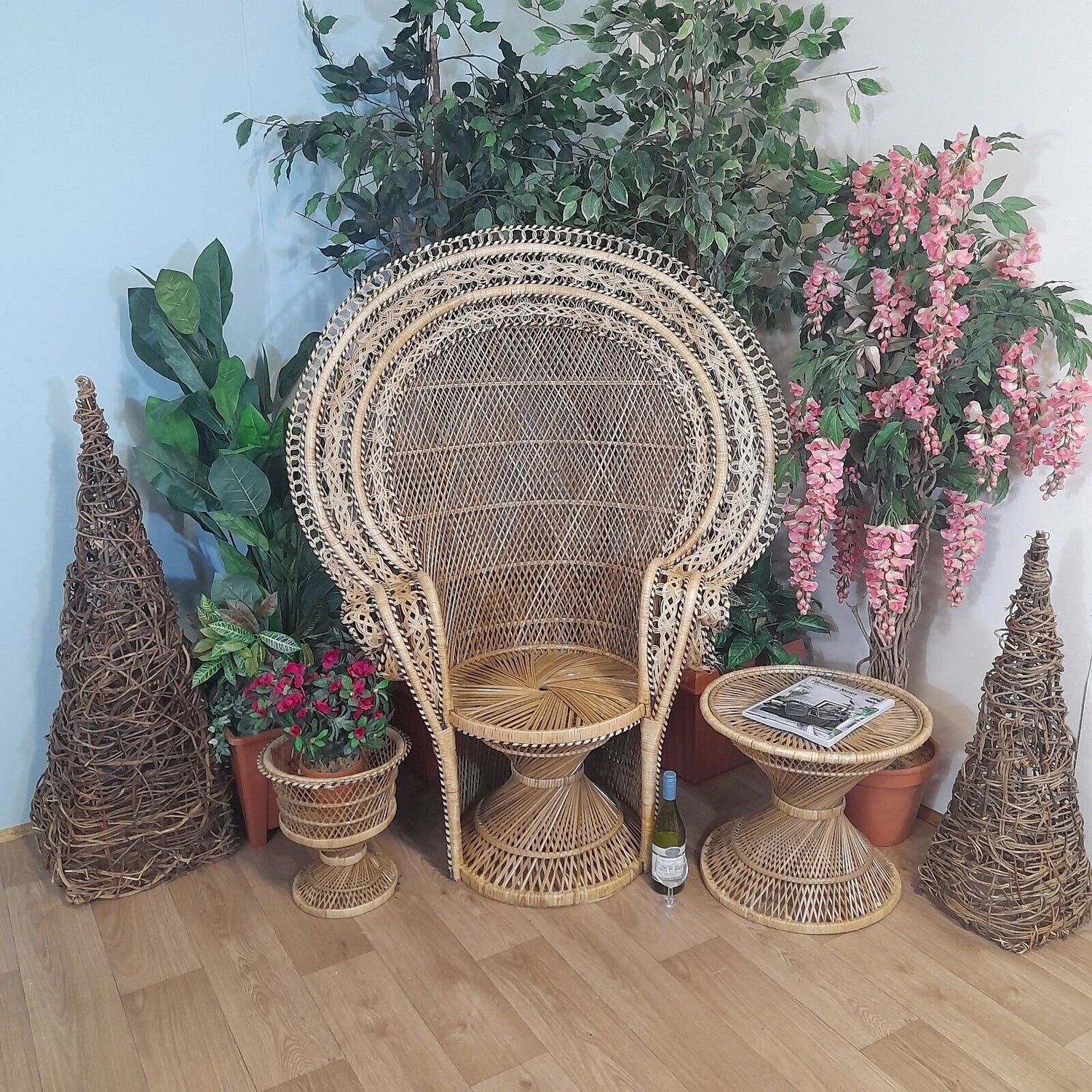 Cane, Wicker Rattan Peacock Chairs.