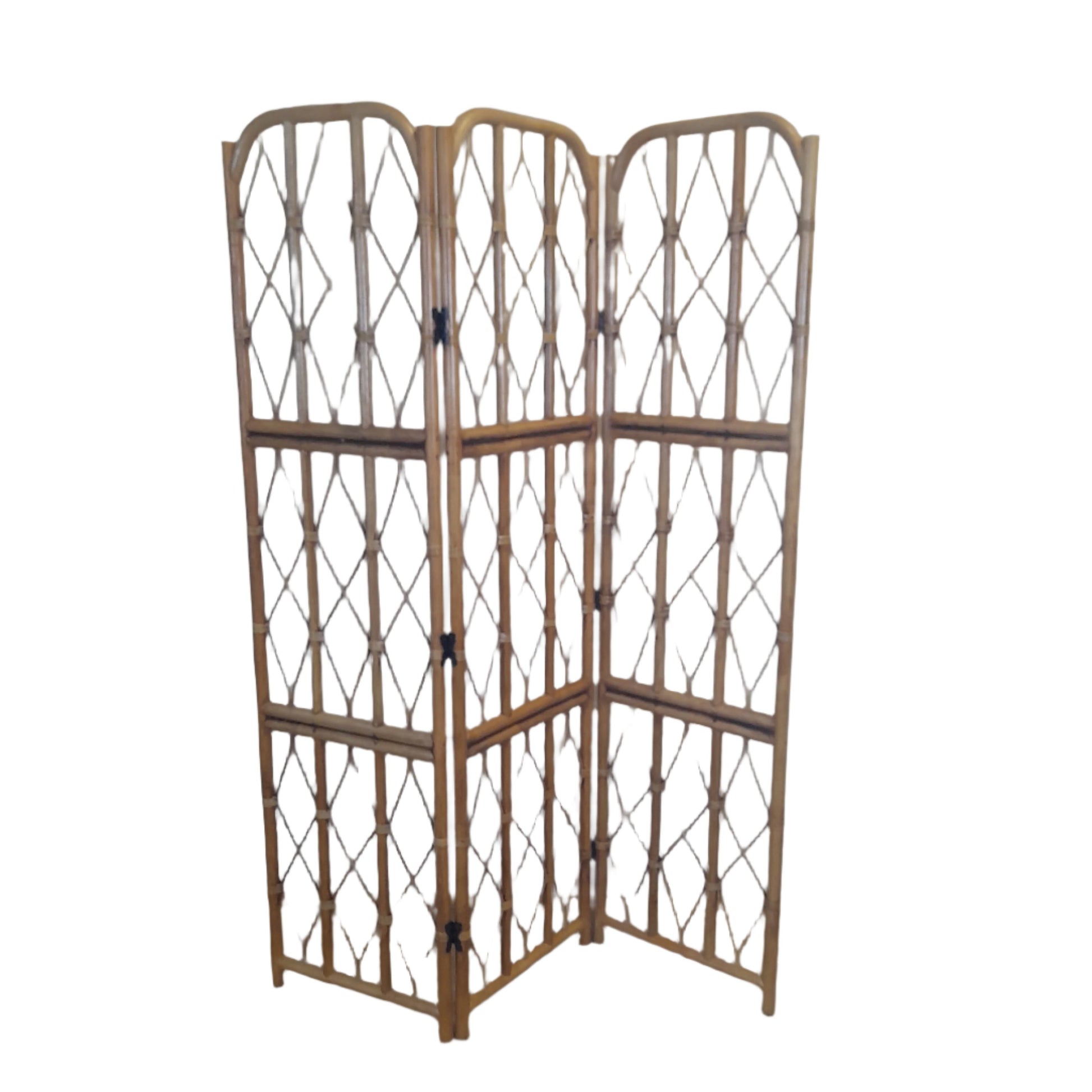 Antique Gili Cane + Wicker/Natural Rattan Screen/Room Divider.