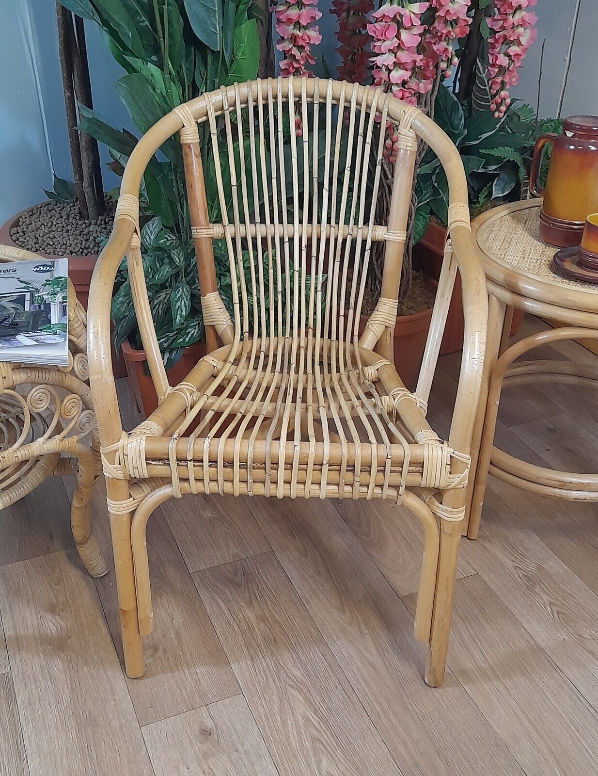 Rio Cane + Wicker/Rattan Conservatory Chair