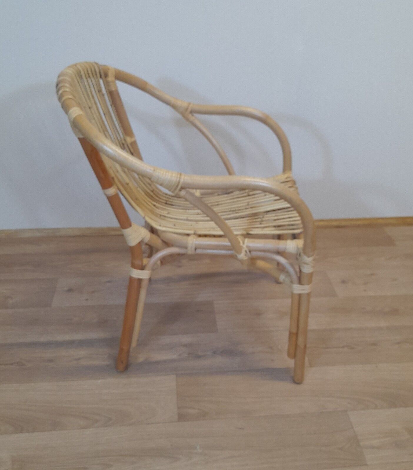 Rio Cane + Wicker/Rattan Conservatory Chair side view