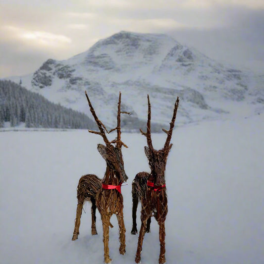 2x Wicker Willow Reindeer.