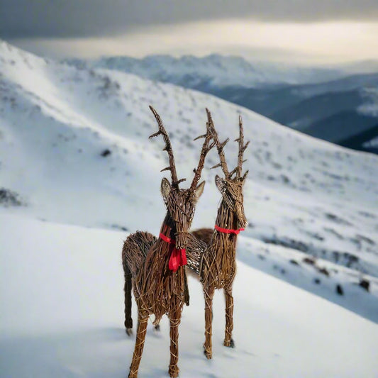 2x 1cm Christmas Reindeer