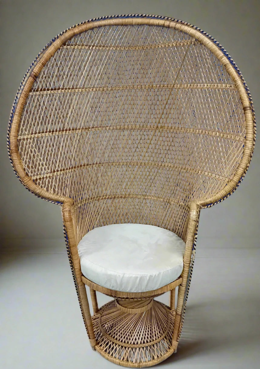 Peacock chair and seat pad