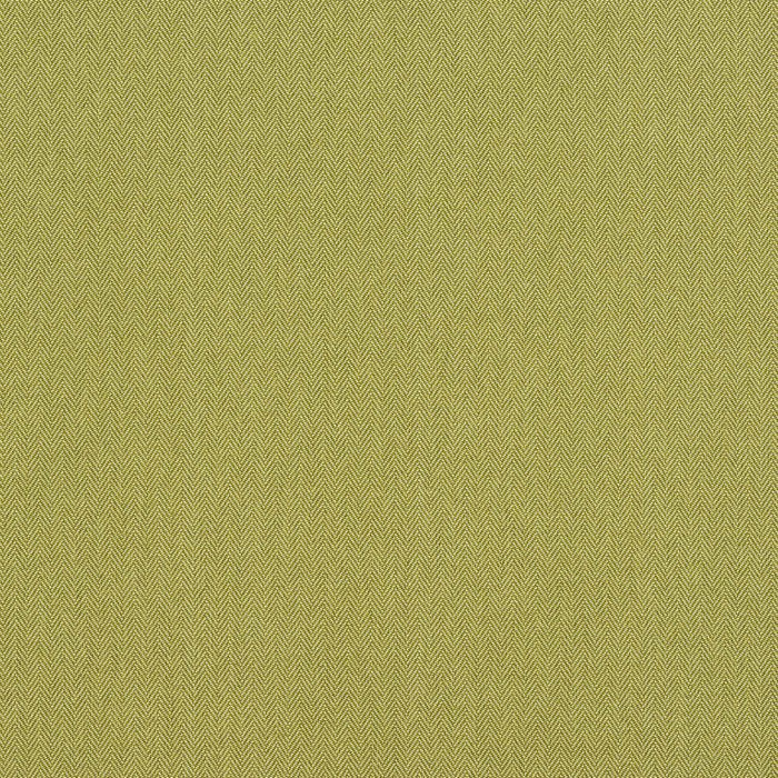 Jersey Lime Fabric