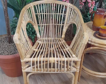 Kelly + Wicker Cane Conservatory Chair.