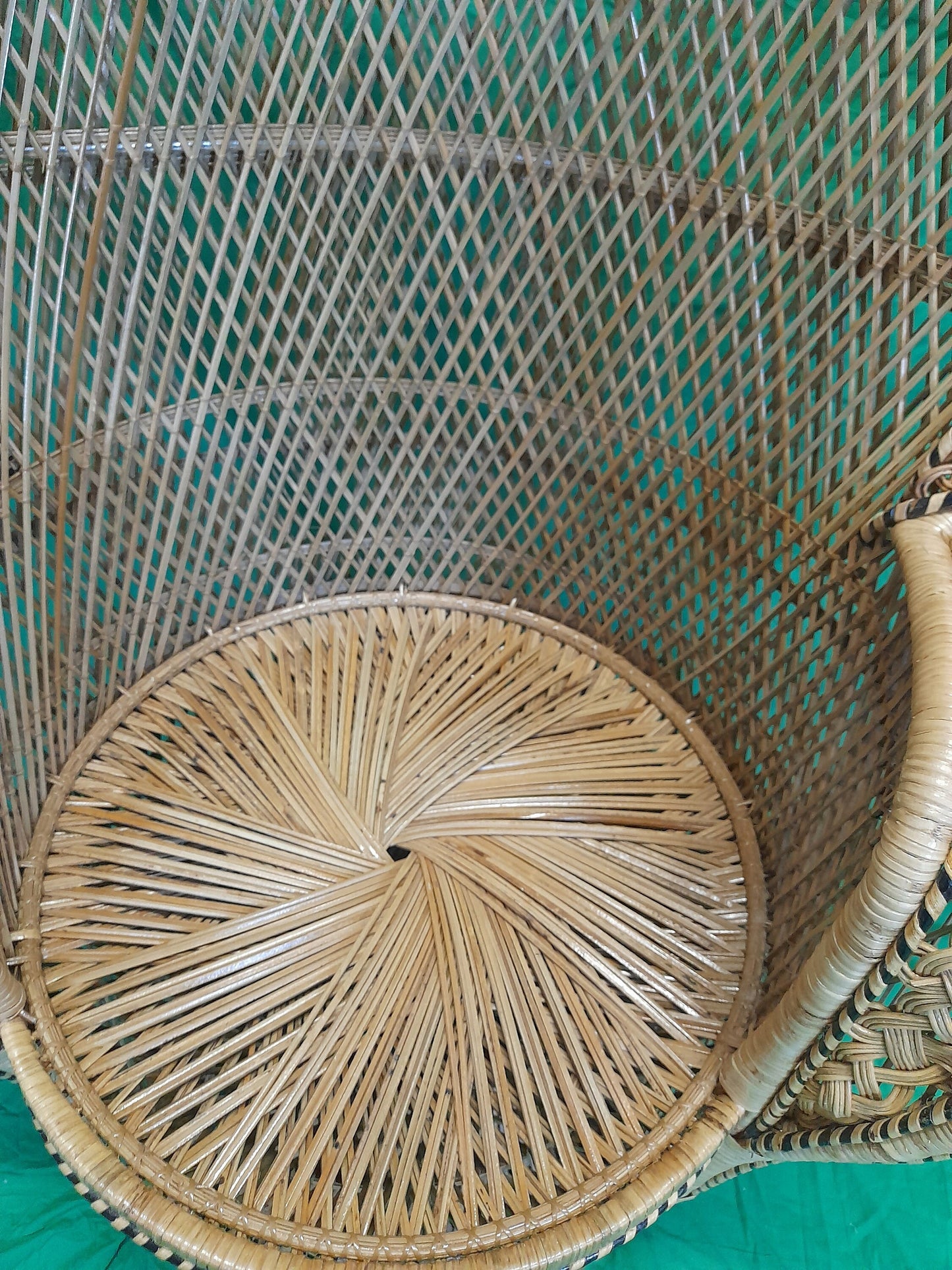 Wicker/Rattan Regal Conservatory Peacock Chair seat.