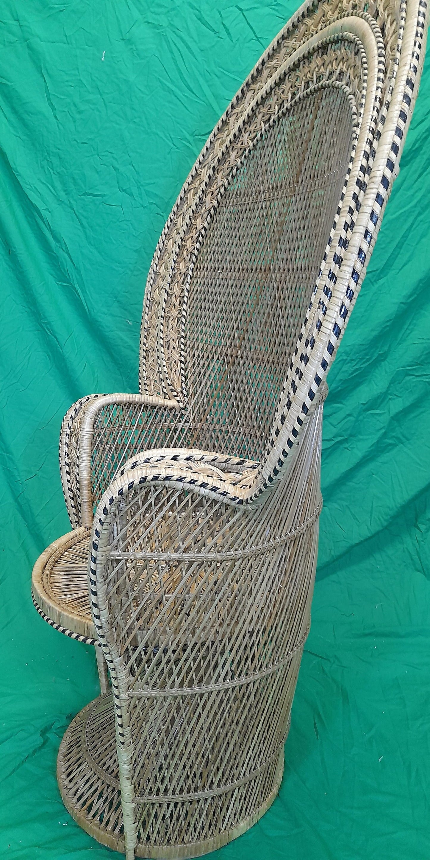 Wicker/Rattan Regal Conservatory Peacock Chair side view.