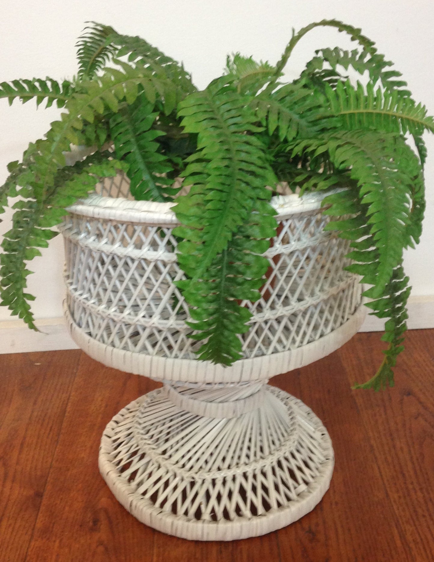 White Wicker/Natural Rattan Vase Planter. 